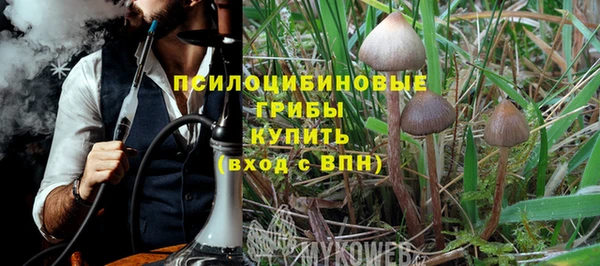 синтетический гашиш Алексеевка