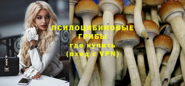 бошки Алексин