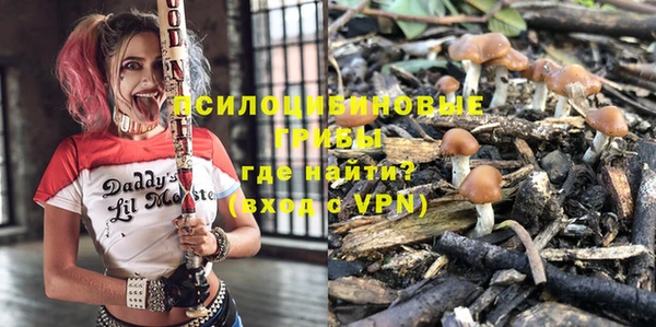 синтетический гашиш Алексеевка